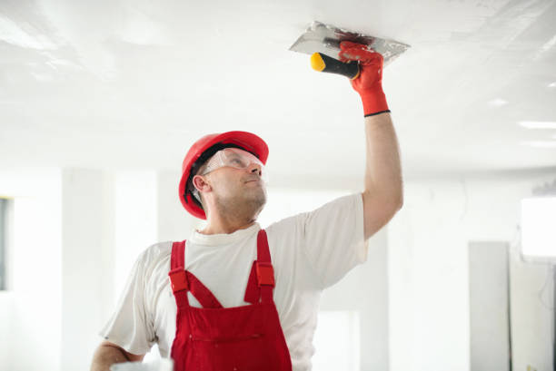 Professional Dry wall and painting in Danbury, TX