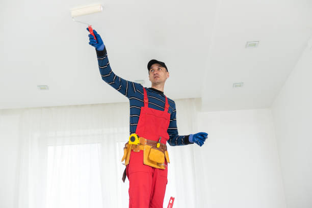 Best Repainting for Renovations  in Danbury, TX